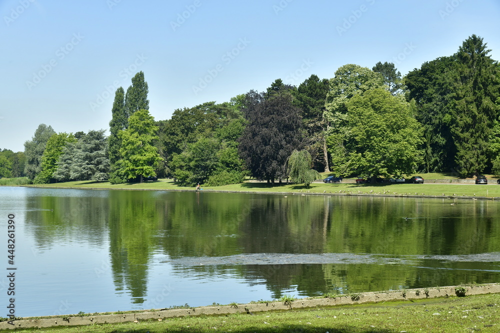 Le feuillage luxuriant des arbres se reflétant dans les eaux du Grand Etang au parc de Tervuren à l'est de Bruxelles