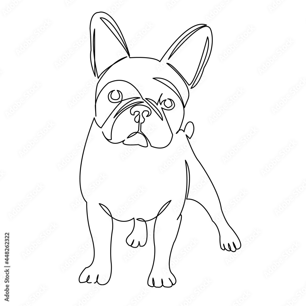 bulldog bulldog