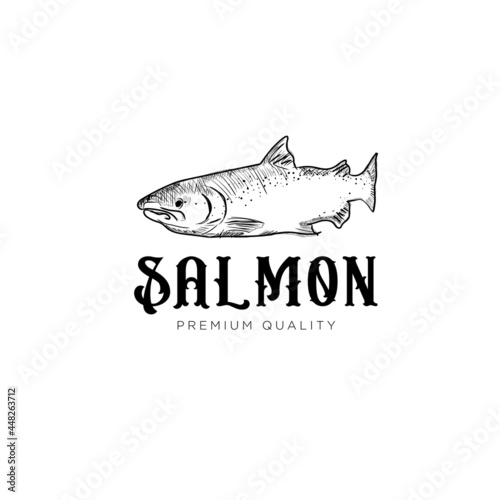 salmon vector logo