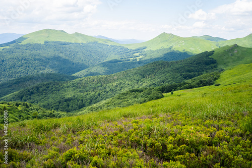 Fototapeta Naklejka Na Ścianę i Meble -  bieszczady mountains
