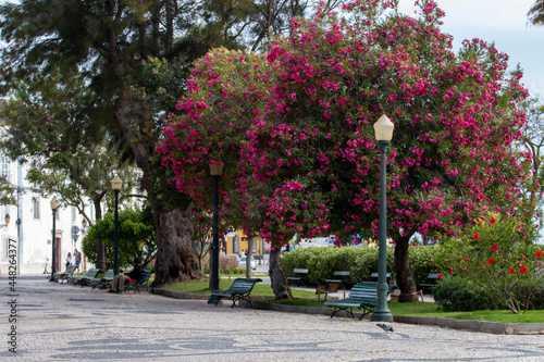 Garden Manuel Bivar in Faro city