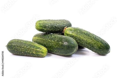 Ashley cucumbers variety