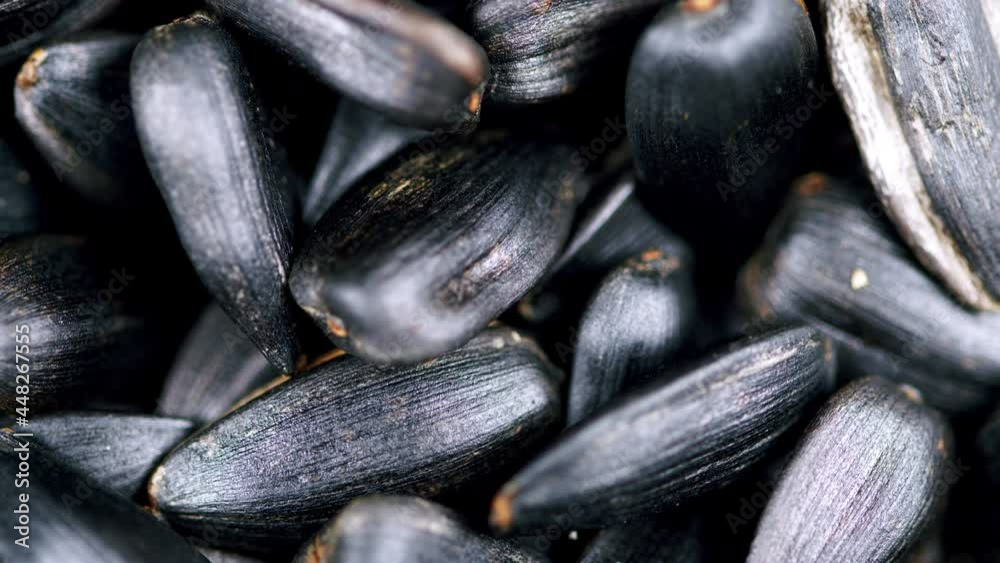 Black sunflower seeds in shell top view. Healthy source of vitamins in vegan food. Black sunflower seeds in shell top view. Healthy source of vitamins in vegan food.