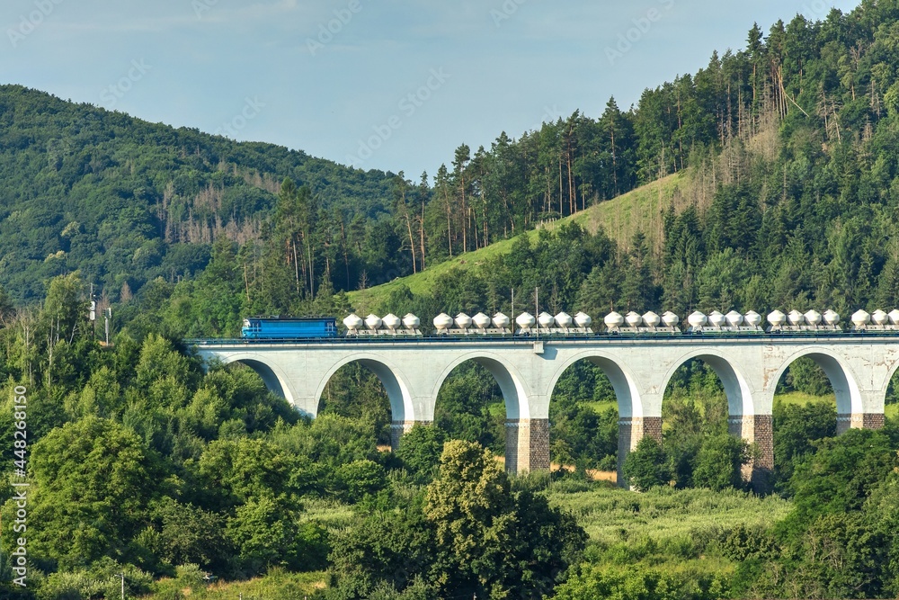 Obraz premium Railway bridge in summer in the Czech Republic of the village Dolni Loucky. Train transport. Railway wagons for the transport of bulk cement.