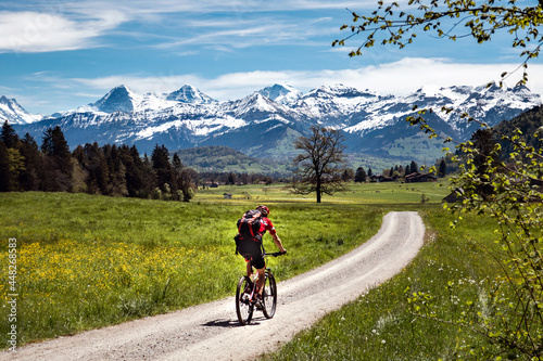 Ein Fahrradfahrer fährt an einem schönen Frühlingstag Richtung berner Alpen, durch das Stockental, berner Oberland, Schweiz. Biken, Radweg, Sport, radfahren, Mann, allein, Landschaft, Alpen.