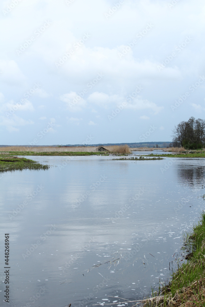 Backwaters of the Narew River