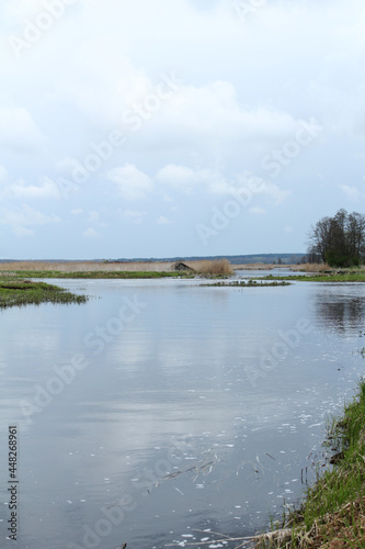 Backwaters of the Narew River