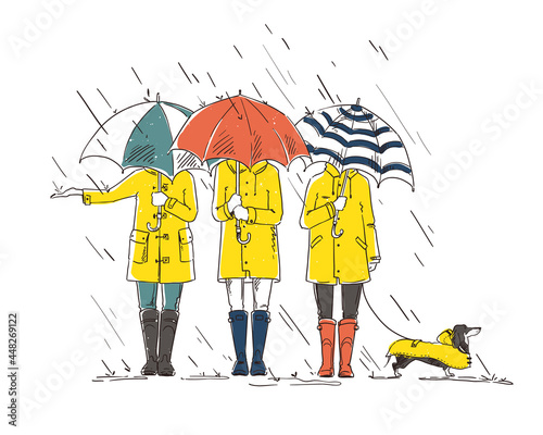 three friends with a dog walking  in the rain withumbrellas vector illustration