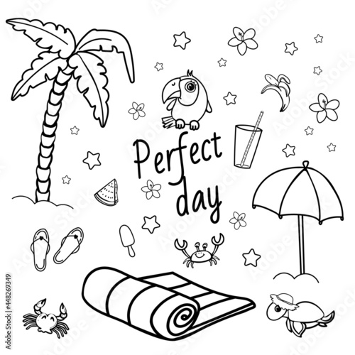 Summer Perfect Day Vector Illustration of Toucan, Turtle, Palms. Rest Zone