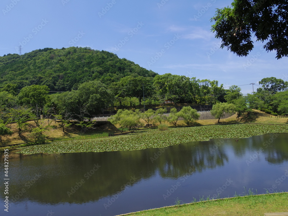 王子池(愛媛県西予市宇和運動公園)