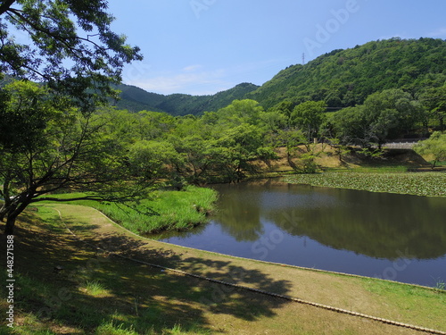 愛媛県西予市宇和運動公園の池(王子池)