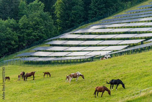 Fototapeta Naklejka Na Ścianę i Meble -  Solar park, alpine meadow, pasture and grazing horses with alpine mountains in the background. Solar panels in a rural landscape in the summer Alps. Sustainable development of global solar energy.
