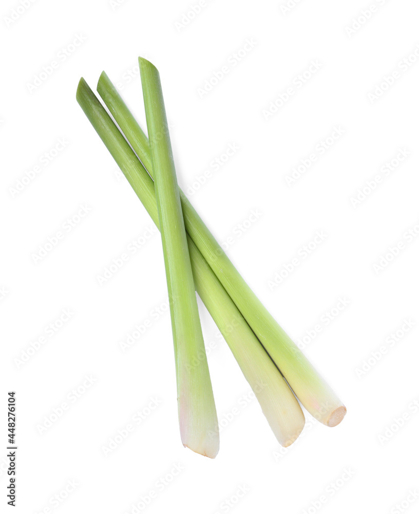 Fresh aromatic lemongrass stalks on white background, top view Fresh aromatic lemongrass stalks on white background, top view