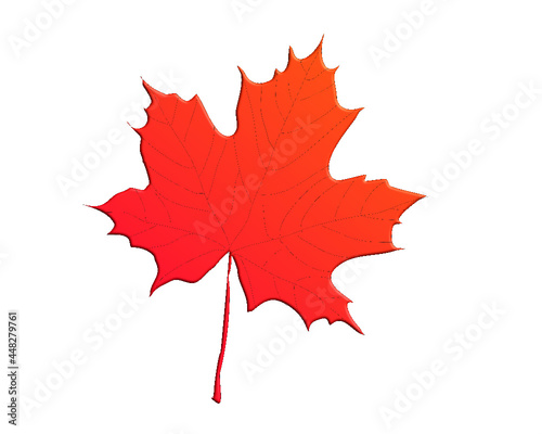 Red maple leaf vector