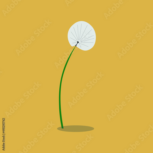 dandelion painting botanical herb graphic © nadysilence