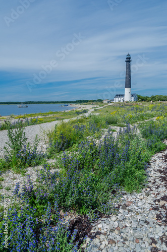Sõrve lighthouse on the coast
