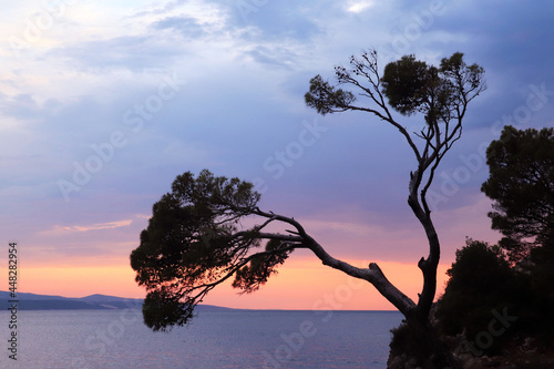 Famous stone island in Brela at sunset , Croatia