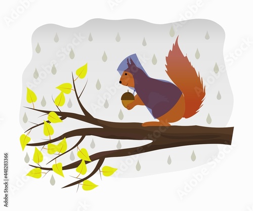 Cute squirrel with a nut and a raincoat sits on a tree branch in the rain. Autumn weather concept. Funny cartoon character. Vector illustration on a gray background.