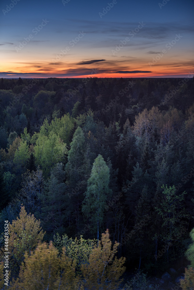  sunset over the forest in Saaremaa