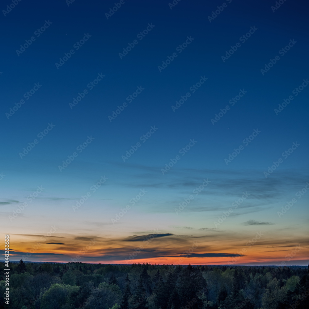 sunset over the forest