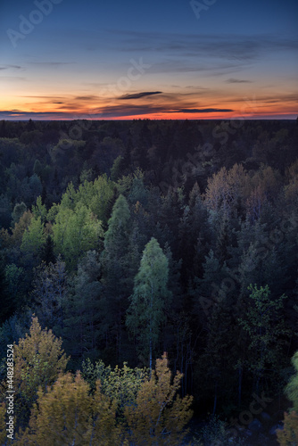 sunset over the forest in Saaremaa © Rauno