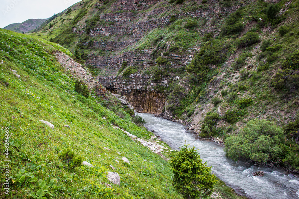 Moutain river with clear water and rapid flow. Beautiful natural scenery. Tekes river in Kazakhstan. Moutain river with clear water and rapid flow. Beautiful natural scenery. Tekes river in Kazakhstan.