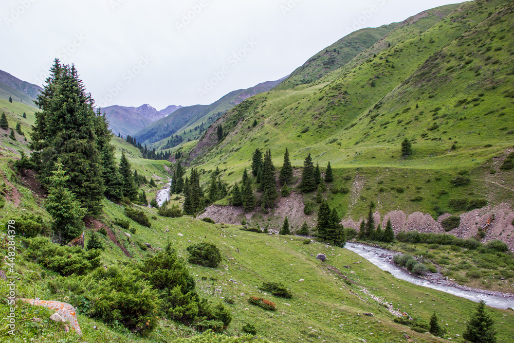 Fototapeta premium Moutain river with clear water and rapid flow. Beautiful natural scenery. Tekes river in Kazakhstan.