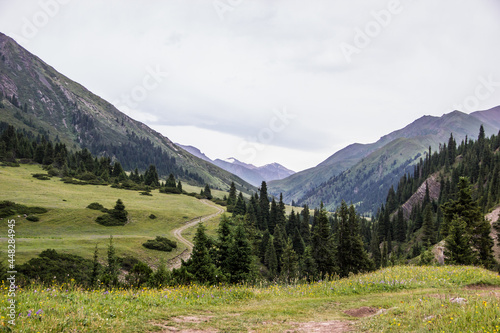 Beautiful Summer landscape  blue cloudy sky  green hills  distant mountains  coniferous trees and hiking paths