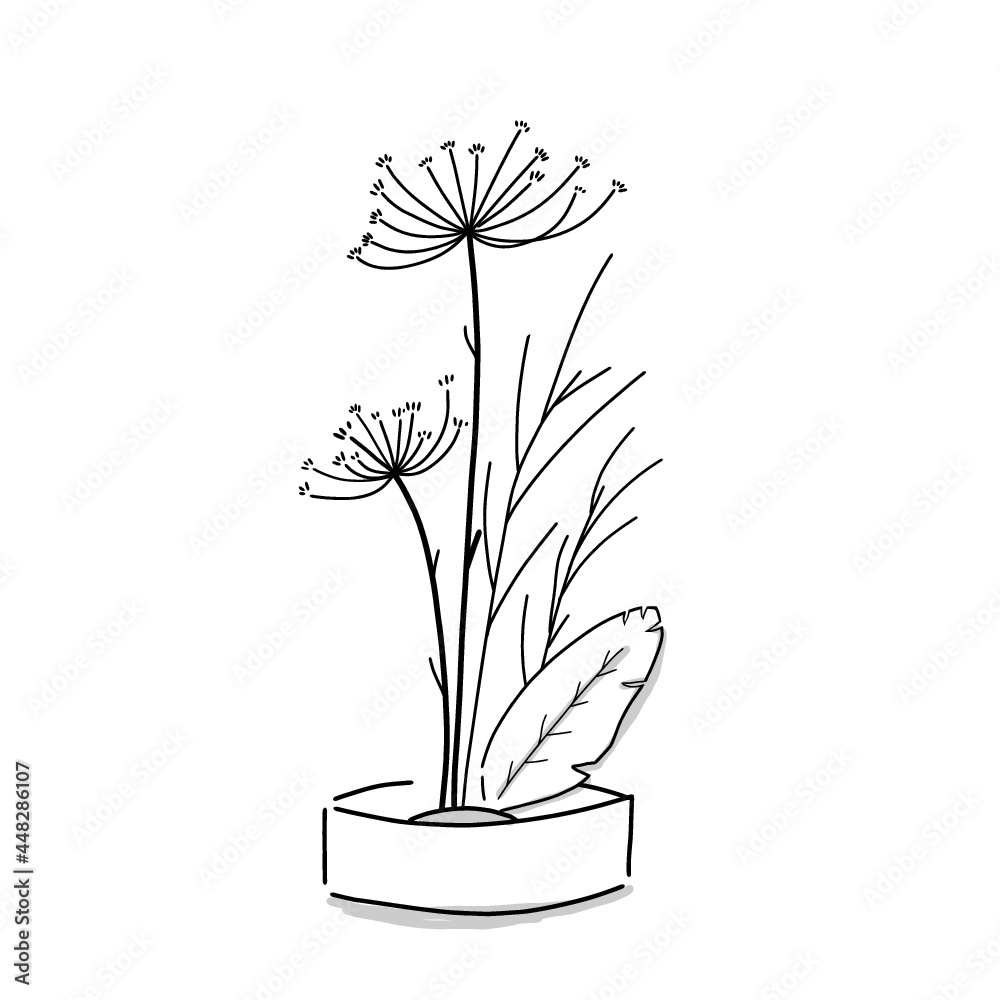 Japanese Ikebana illustration. Hand drawn sketch. Japanese plants and