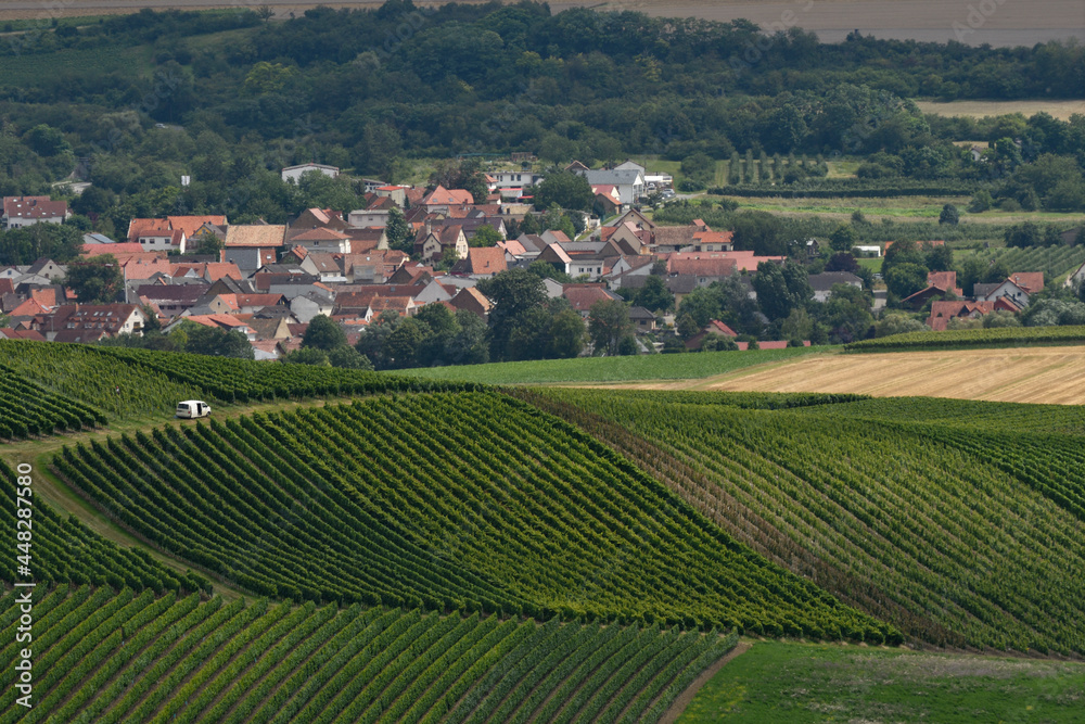 rheinhessische sommerlandschaft rheinhessische sommerlandschaft
