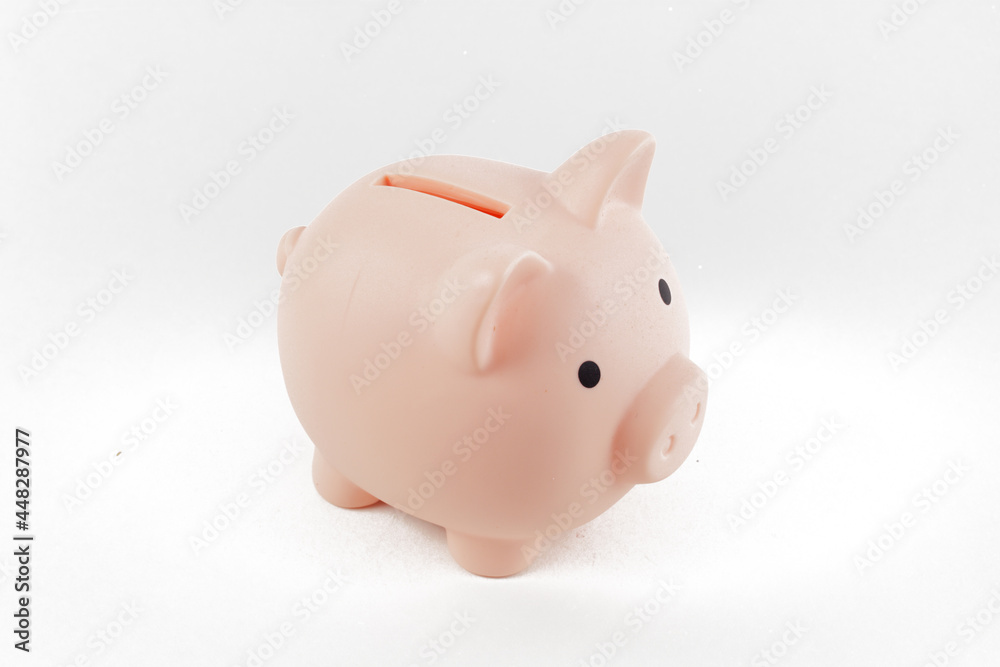 pink piggy bank pig isolated on white background, close-up