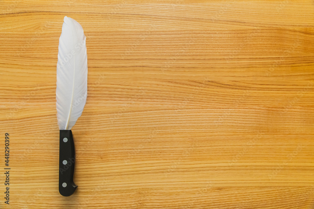 knife with a feather instead of a blade. The weapon of the writer. Background knife with a feather instead of a blade. The weapon of the writer. Background