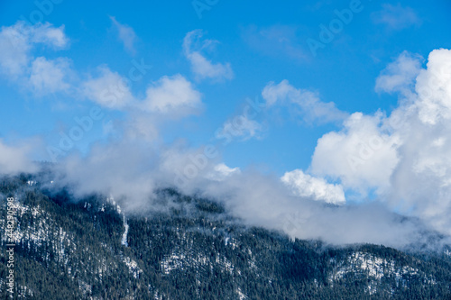 winter forest on the mountain with blue sky and white clouds landscape