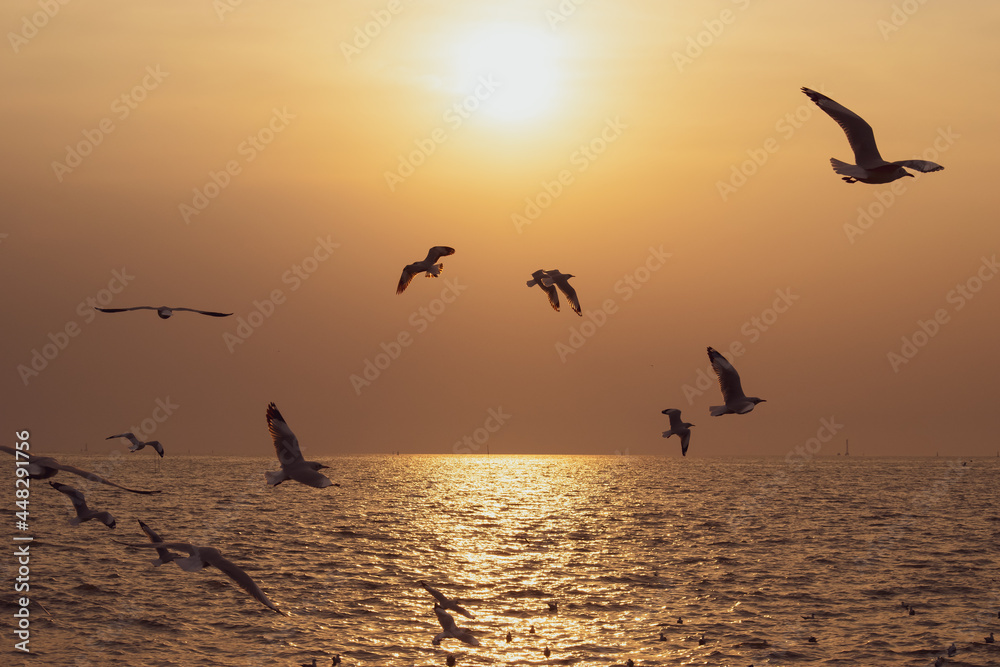 Naklejka premium The background of sunset with flying seagull at Bangpu Recreation Center, the gulf of Thailand