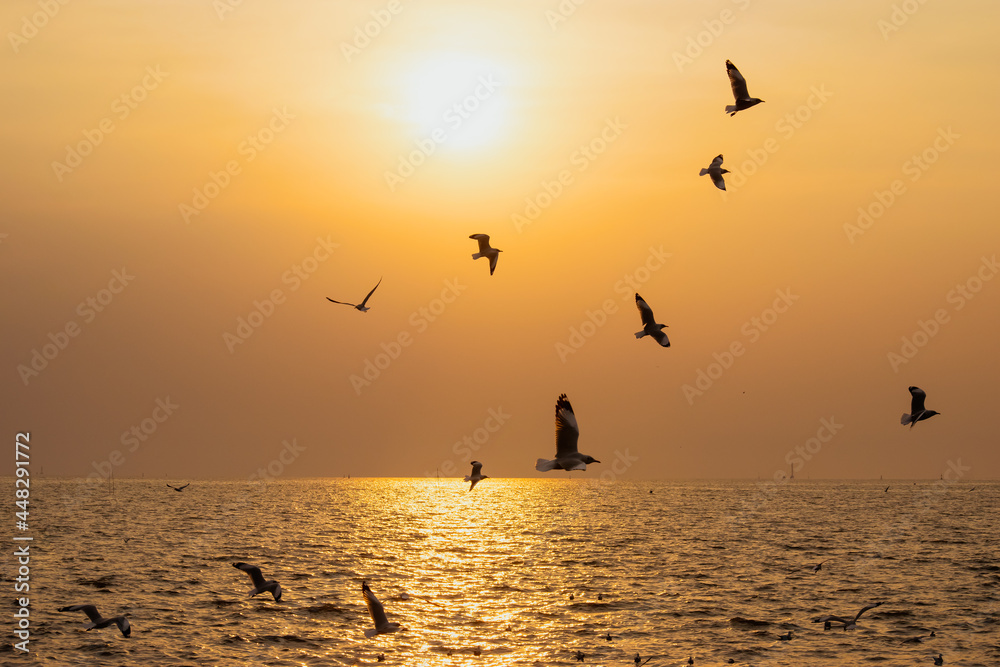 The background of sunset with flying seagull at Bangpu Recreation Center, the gulf of Thailand