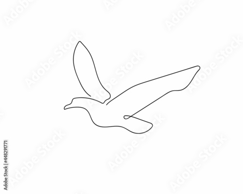 Continuous line drawing of a flying bird on a white background. Hand-drawn vector illustration