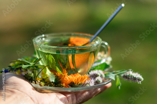 Herbal tea in a cup and flowers and leaves of mint, calendula, thyme, currant on an outstretched hand on a natural background.
