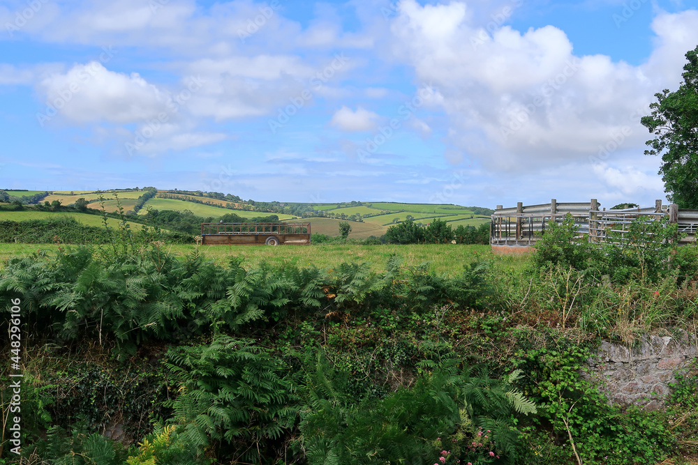 A scenic view of the fields and meadows in Slapton