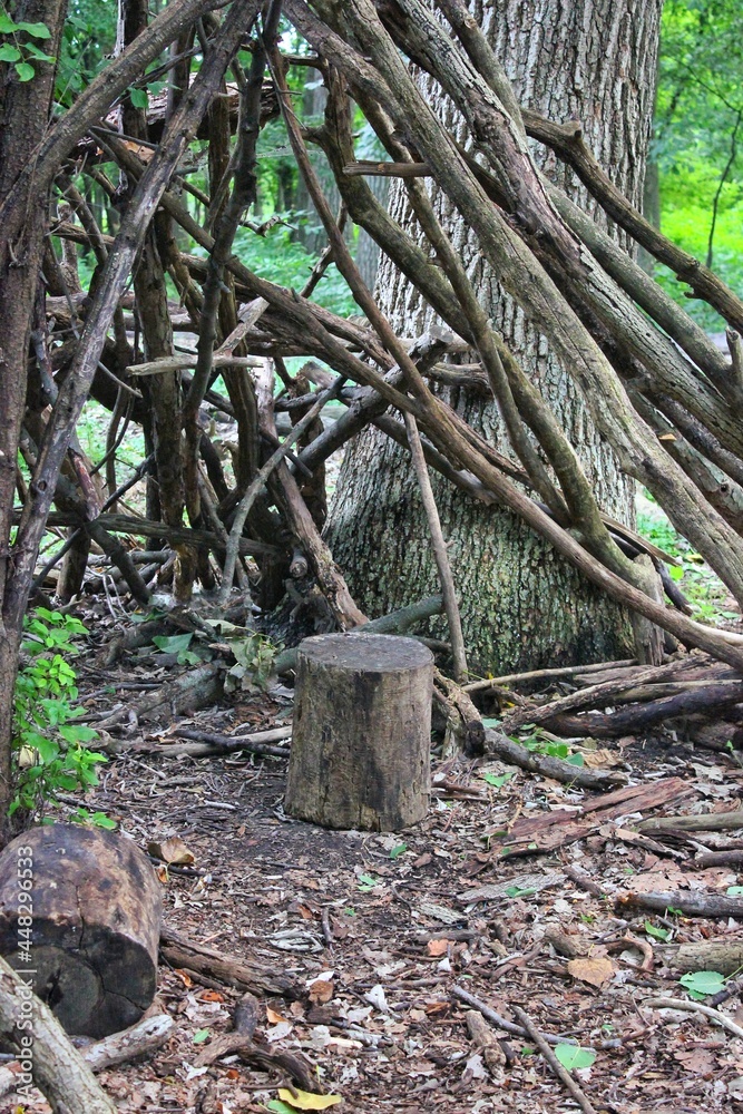 tree stump serving as a welcome seat in the forest tree stump serving as a welcome seat in the forest