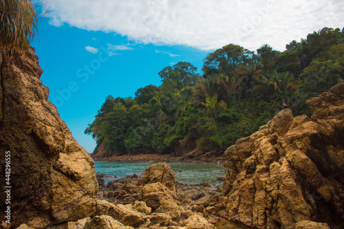 Landscape in the middle of a rocky beach in the middle of the jungle surrounded by vegetation and trees in the tropical pacific in the National Park. Manuel Antonio in Costa Rica