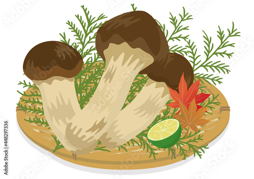 秋の味覚　ザルに盛った松茸