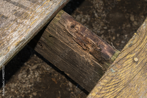 Old wooden deck showing a decaying joist