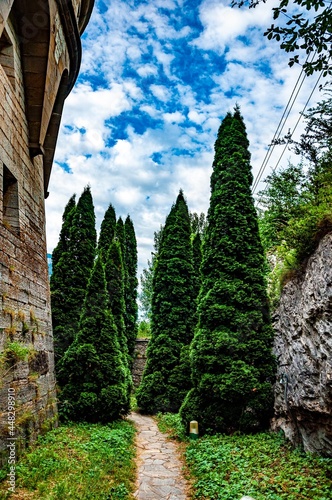 garden in the garden