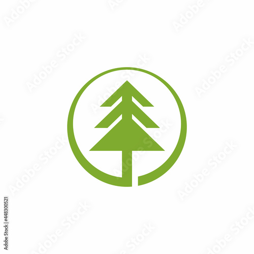 pine, evergreen, fir, hemlock, spruce, conifer, cedar, coniferous, cypress, larch, pinus tree icon logo design