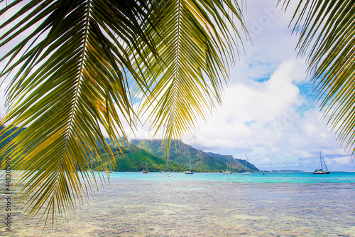 Moorea island stunning beautiful beaches, white sand, clear turquoise water, blue lagoons, Tahiti, Moorea, French Polynesia, Pacific islands