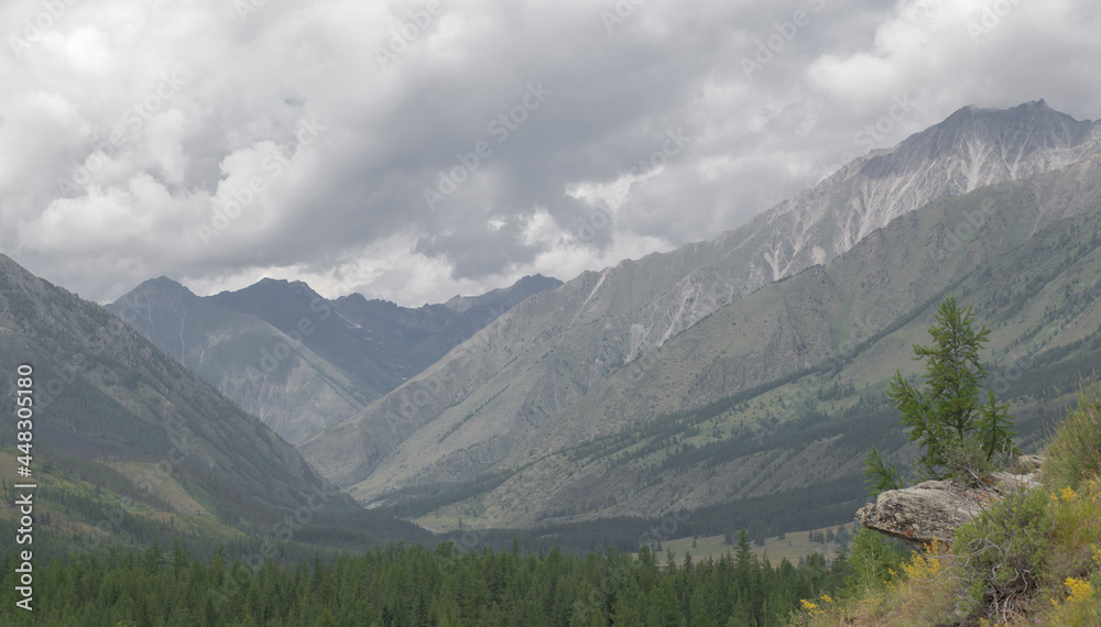 Fototapeta premium view of the mountains