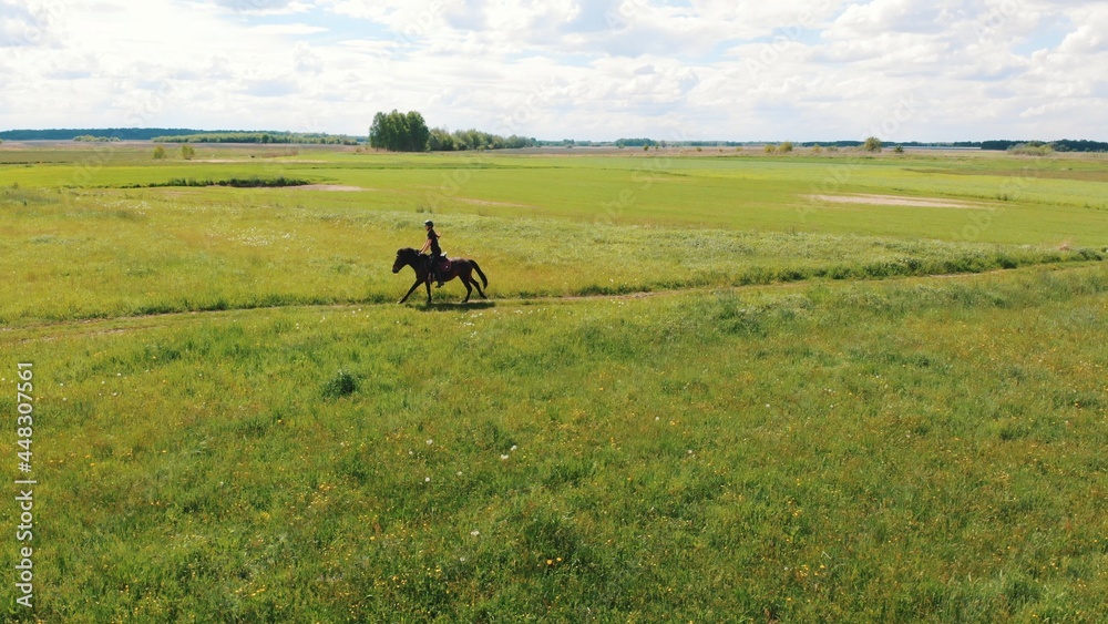 Horse rider in a beautiful farm field during the daytime. Woman riding on the back of a seal brown horse. Field meadows. Cloudy sky in the background. A dandelion field in the foreground. Horse rider in a beautiful farm field during the daytime. Woman riding on the back of a seal brown horse. Field meadows. Cloudy sky in the background. A dandelion field in the foreground.