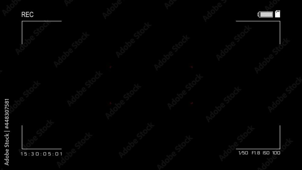 Rec or recording video Screen Animation. Camera rec viewfinder with digital focus and exposure settings. 4K camera video viewfinder. Green screen. Camcorder Camera Overlay Background.