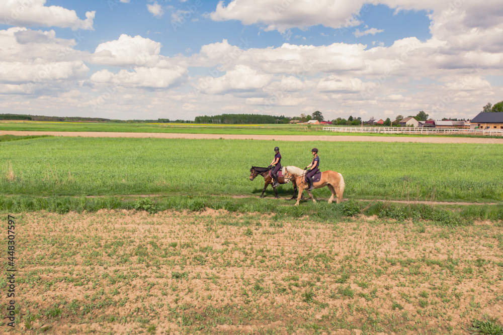 Two horse riders on a Palomino horse and a Dark Bay Horse moving across the beautiful farm field during the daytime. Aerial view of the beautiful meadows. Picturesque cloudy sky in the background. Two horse riders on a Palomino horse and a Dark Bay Horse moving across the beautiful farm field during the daytime. Aerial view of the beautiful meadows. Picturesque cloudy sky in the background.
