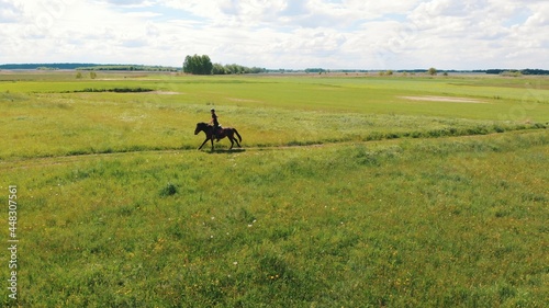 Horse rider in a beautiful farm field during the daytime. Woman riding on the back of a seal brown horse. Field meadows. Cloudy sky in the background. A dandelion field in the foreground.
